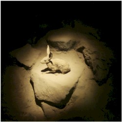 Untitled (2015–2016)