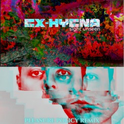 Sight Unseen (Pleasure Policy remix)