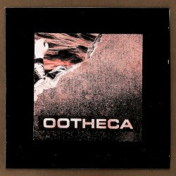 OOTHECA demo 2