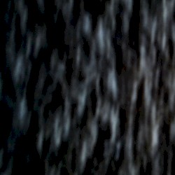 Molested by the External Stimuli