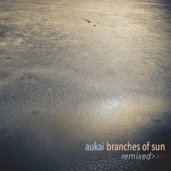 Branches of Sun Remixed