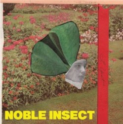Noble Insect