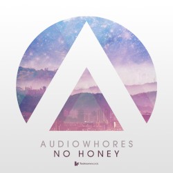 No Honey - Single