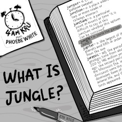 What Is Jungle (Extended Mix)