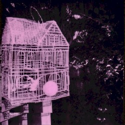 Everybody Come on Man