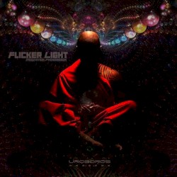 Meditation Phenomenon