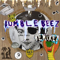 World Wild Web Remixez