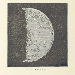 Moon in Quarter