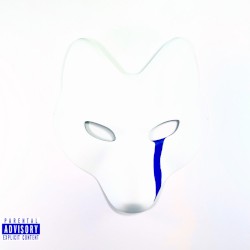SNOW FOX