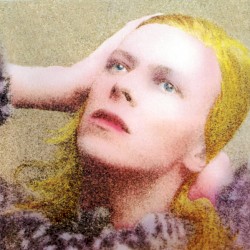 Hunky Dory
