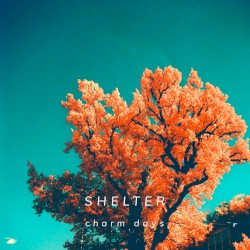 Shelter