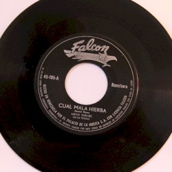 Cual mala hierba / Flor corrida