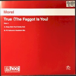 True (The Faggot Is You) (Disk 2)