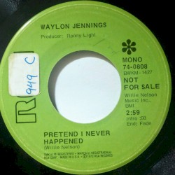 Pretend I Never Happened