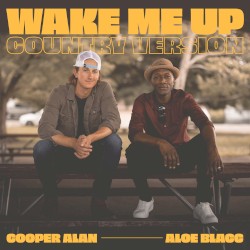 Wake Me up (Country Version)