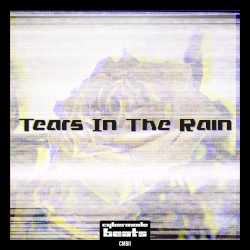 Tears in the Rain