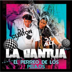 La cantúa
