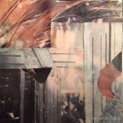 The Aasee Lake Demos