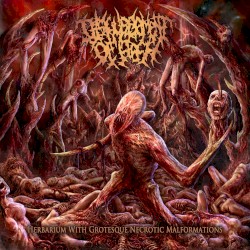 Herbarium With Grotesque Necrotic Malformations