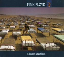 A Momentary Lapse of Reason