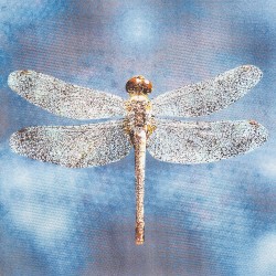 Faceless Angel
