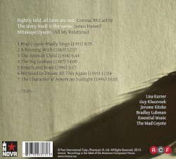 The Character of American Sunlight