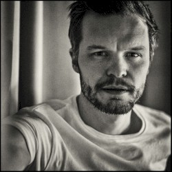 When the Bird Sees the Solid Ground