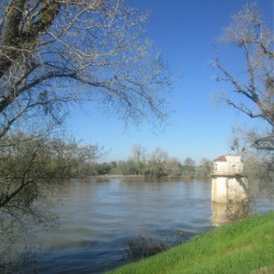 Sacramento River Hydrophone