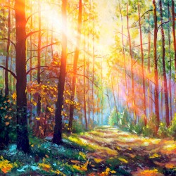 The Willow Maid (Piano Version)