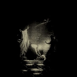 SPLIT W/ CARMADEOFGLASS