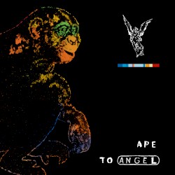 Ape to Angel