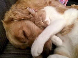 Don't seek LOVE, become LOVE