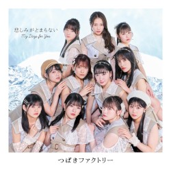 My Days for You / 悲しみがとまらない