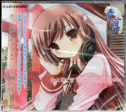 きっと夢と雪でできている