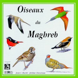 Oiseaux du Maghreb / Birds of North‐West Africa