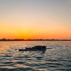 The Sun Comes Up Tremendous