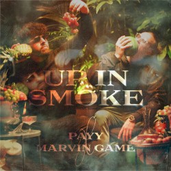 Up in Smoke