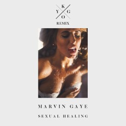 Sexual Healing (Kygo remix)