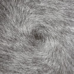 From Death to Passwords