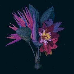 Kingdom (Adesse versions remix)