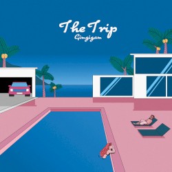 The Trip