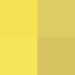 #!/for/plum