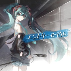 エントリーモデル