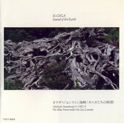 カナダ・ジョンストン海峡／オルカたちの時間