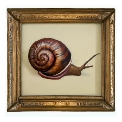 Essais, erreurs, abandons