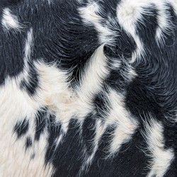 Dismantled Into Juice