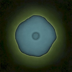 108 Dimensions of Green