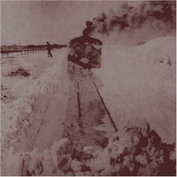 Out Into the Snow