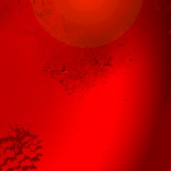 En raison de ma surdité, je ne perçois pas correctement les sons