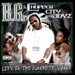 Life in the Concrete Jungle